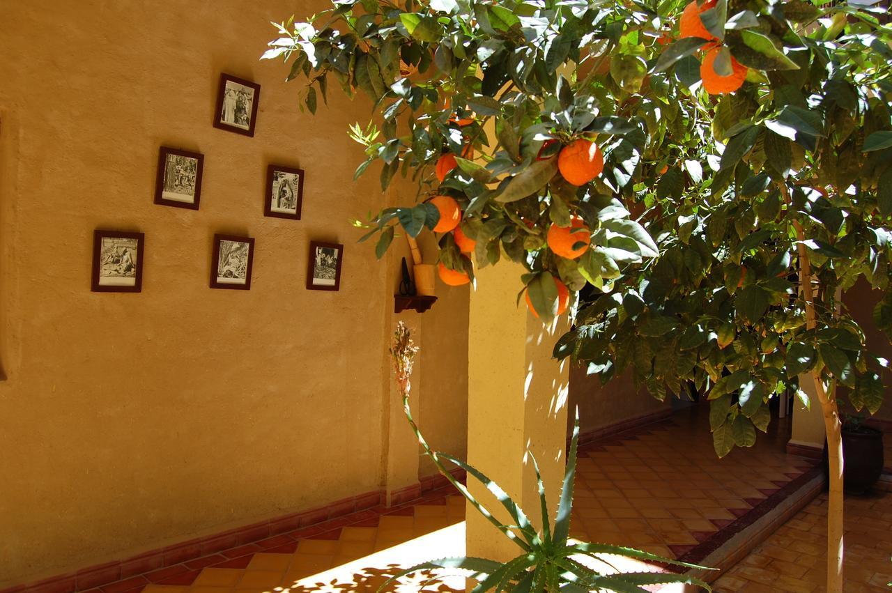 Auberge Amellagou Екстериор снимка